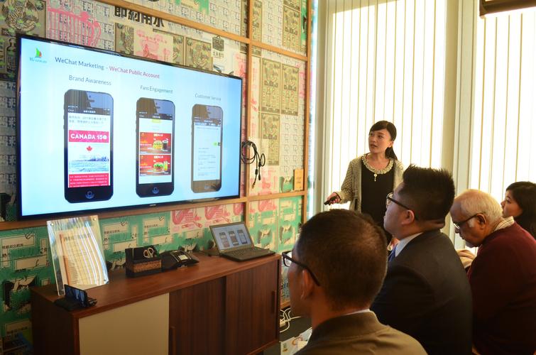 数字化服务综合指南 技术推广、广告运营与数据处理